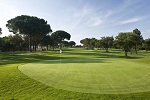 Golf Clubs in Colorado - Things to Do in Colorado